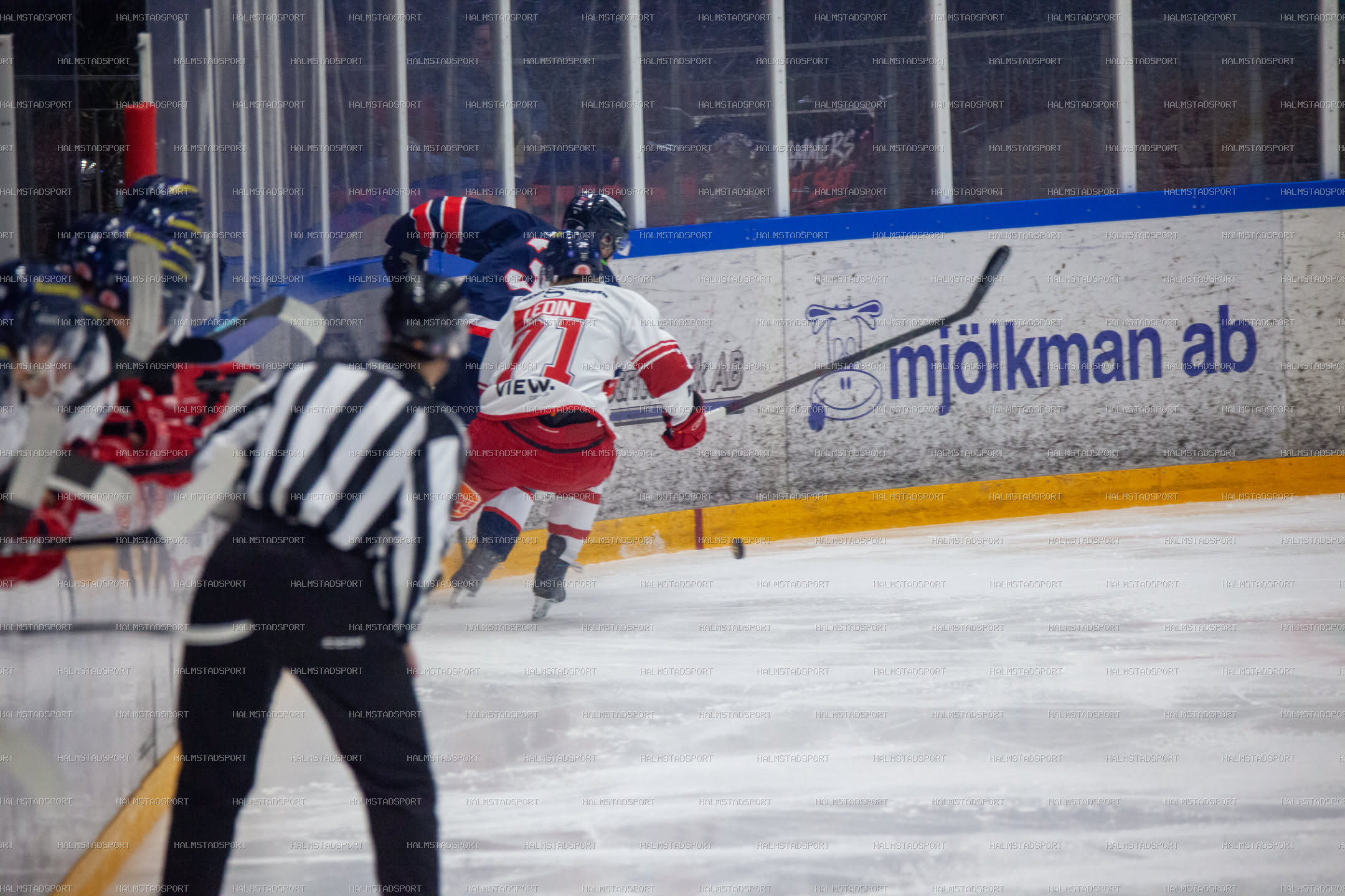 Halmstad Hammers - Västerviks IK · Foto: Halmstadsport