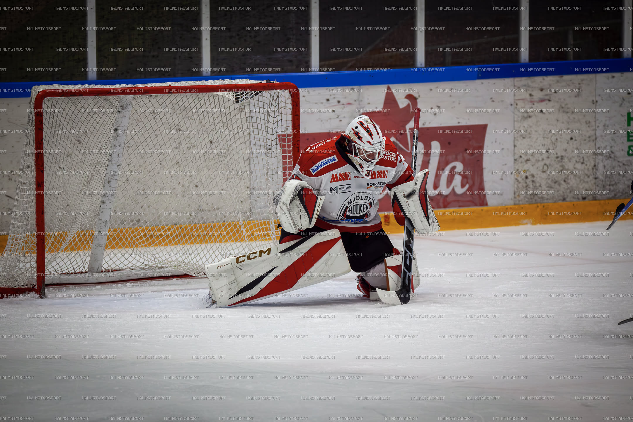 Halmstad Hammers - Mjölby HC · Foto: Halmstadsport