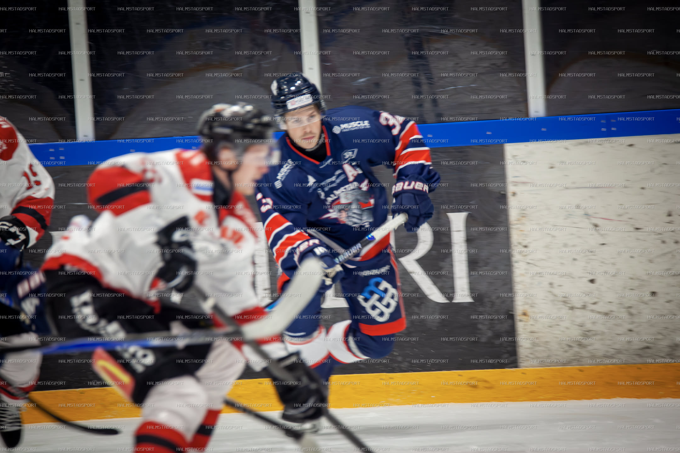 Halmstad Hammers - Mjölby HC · Foto: Halmstadsport