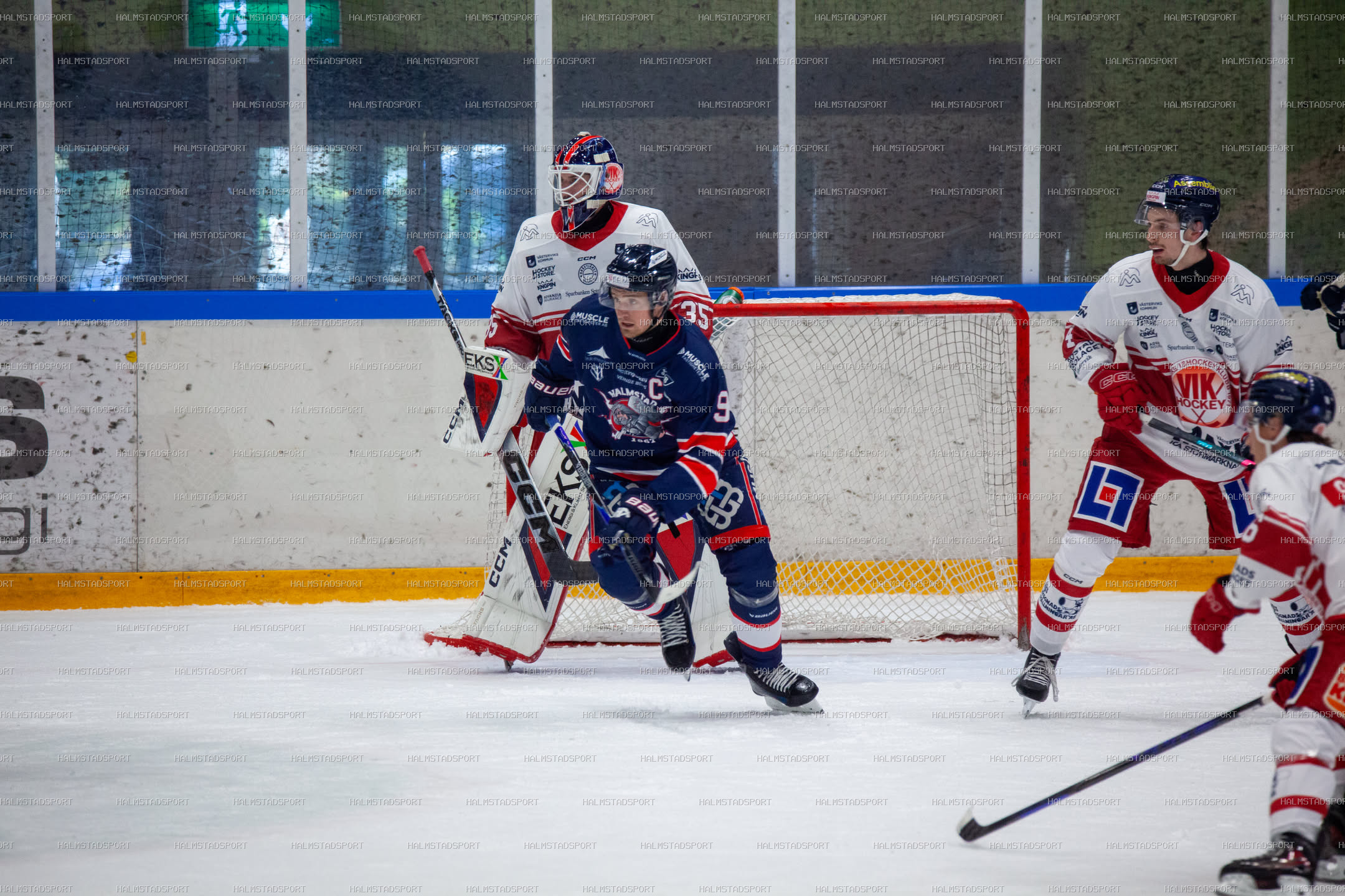 Halmstad Hammers - Västerviks IK · Foto: Halmstadsport