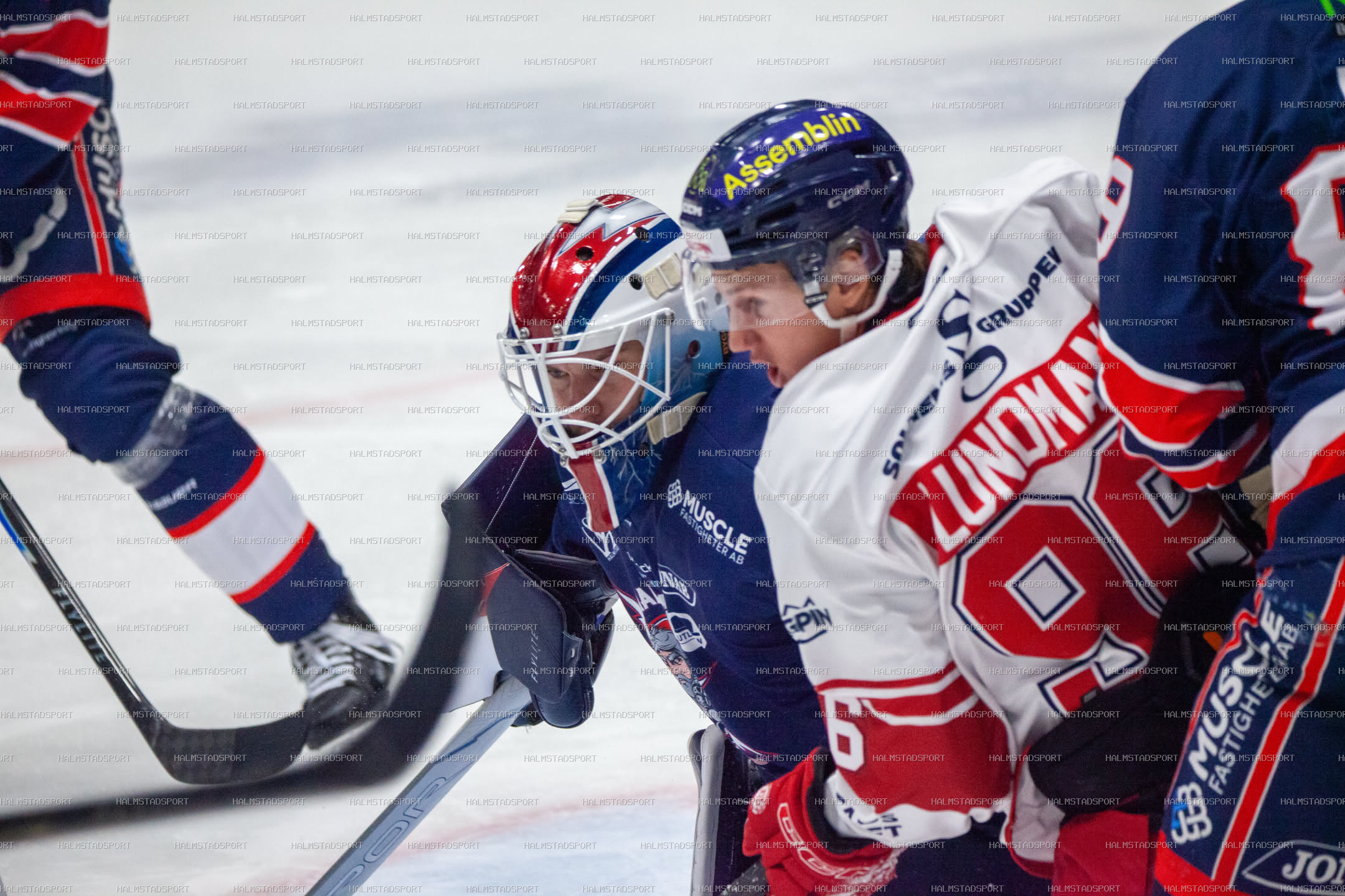 Halmstad Hammers - Västerviks IK · Foto: Halmstadsport
