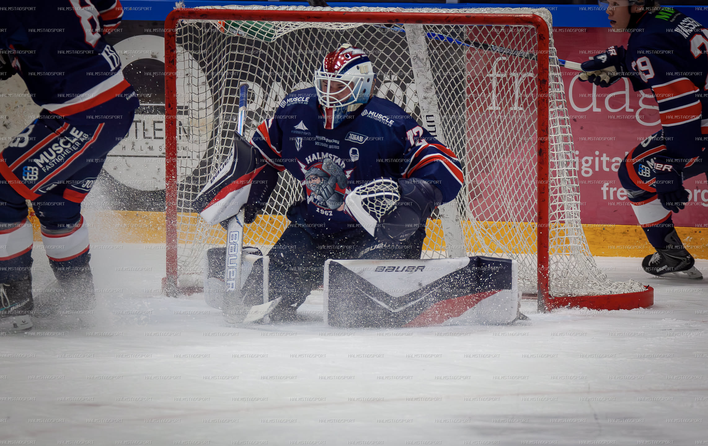 Halmstad Hammers - Mjölby HC · Foto: Halmstadsport