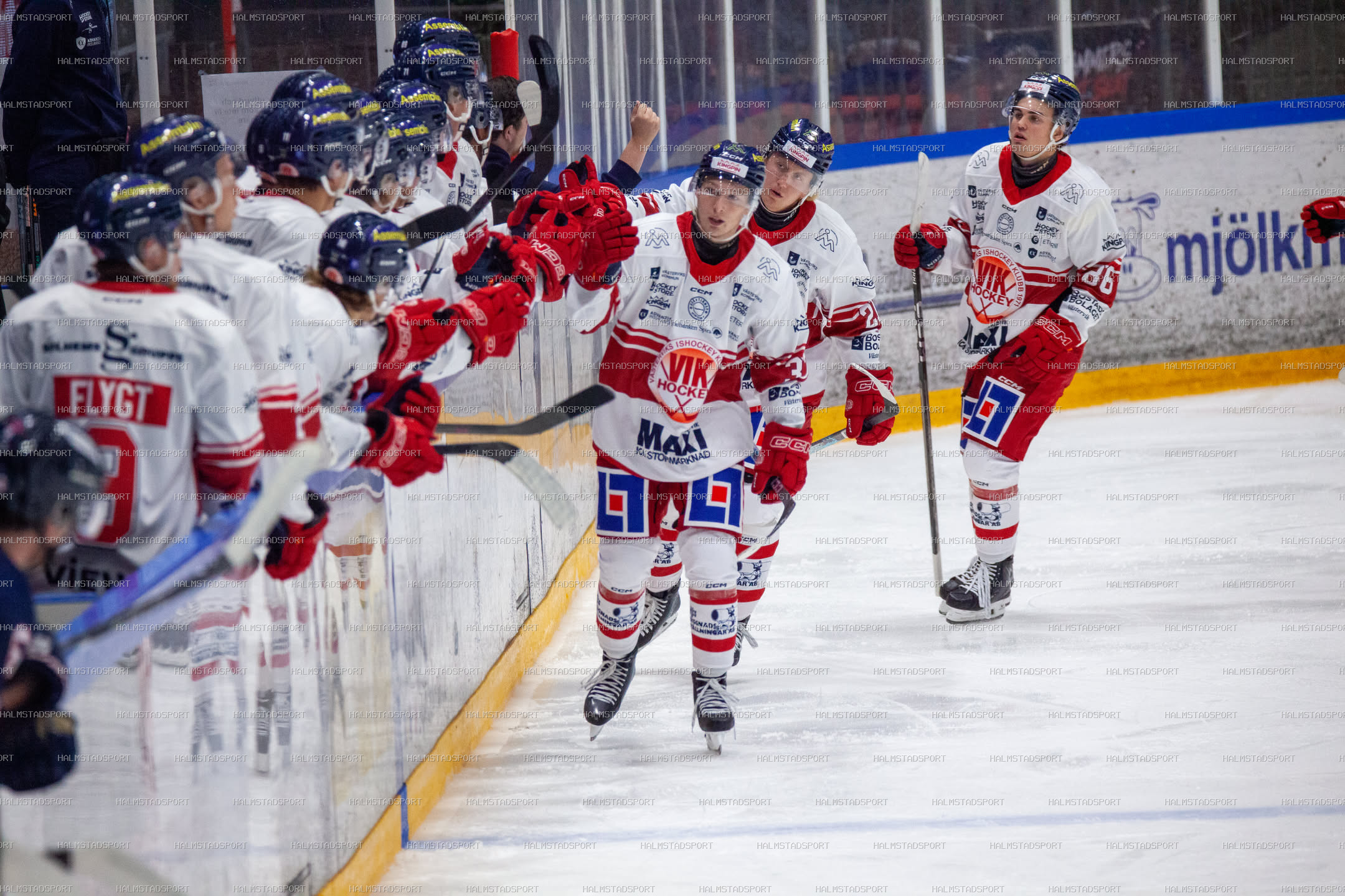 Halmstad Hammers - Västerviks IK · Foto: Halmstadsport