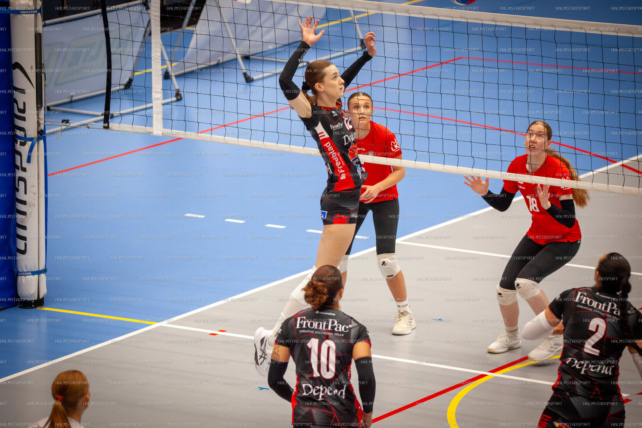 Hylte / Halmstad - Lunds VS Dam · Foto: Halmstadsport