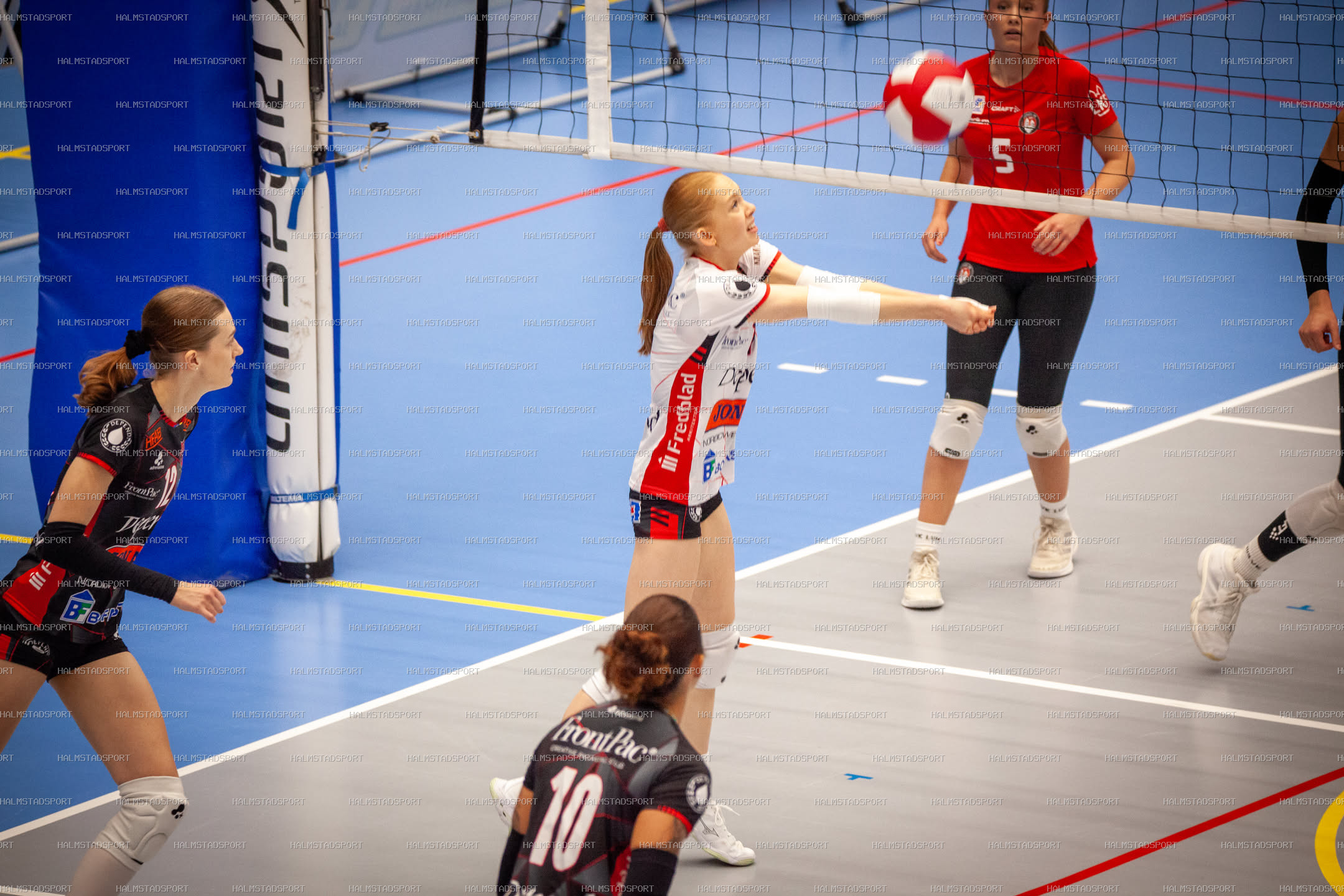 Hylte / Halmstad - Lunds VS Dam · Foto: Halmstadsport