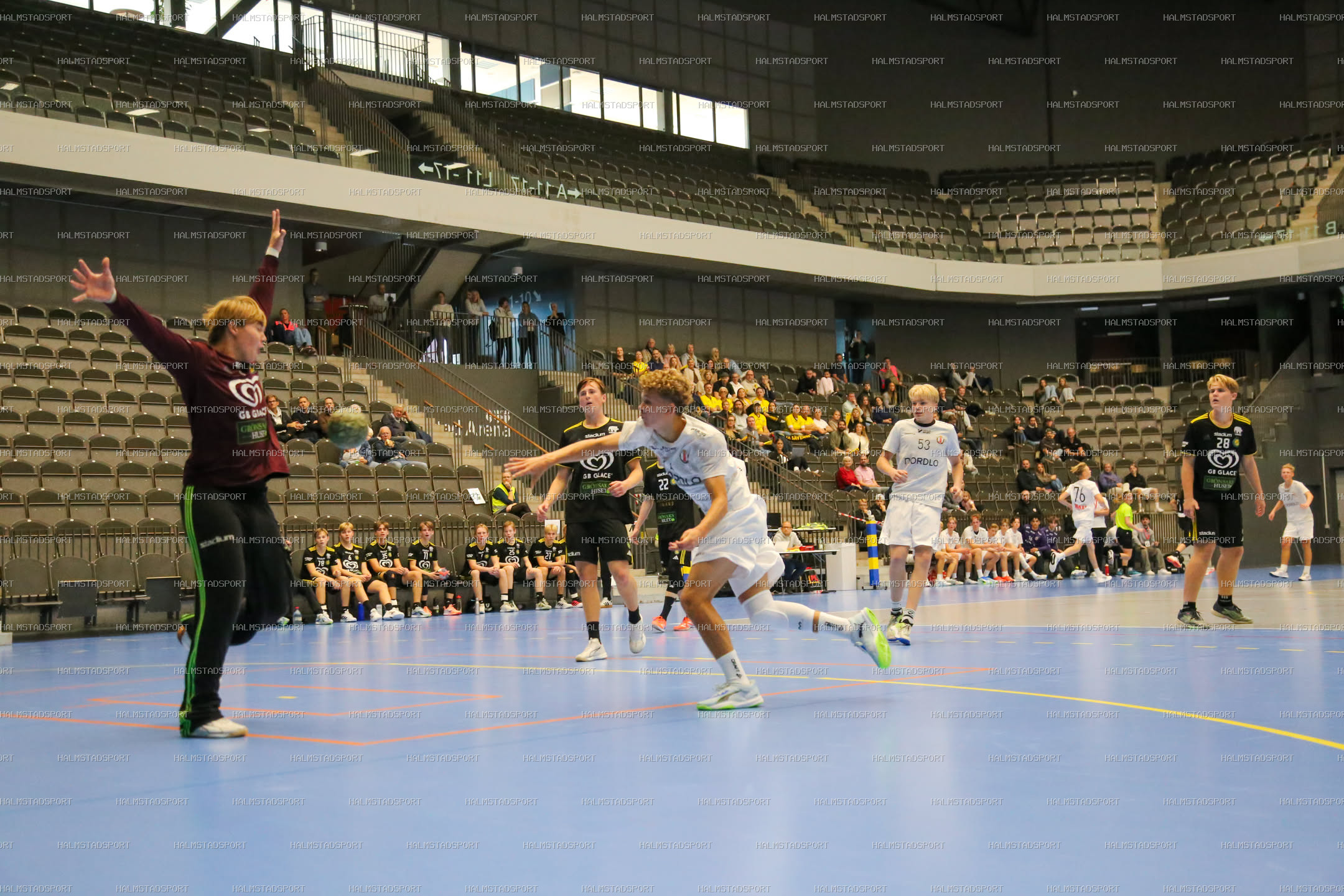 HK Drott - IK Sävehof · Foto: Halmstadsport